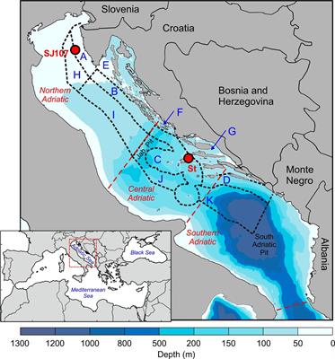 Impacts of Sea Bottom Temperature on CPUE of European Lobster Homarus gammarus (Linnaeus, 1758; Decapoda, Nephropidae) in the Eastern Adriatic Sea